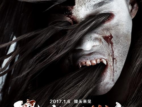 南新罕布什尔大学公共管理文凭证书